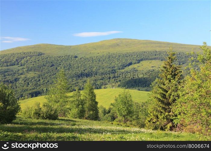 Nature and environment. Green forests and hills. Mountain landscape in the summer. Travel and tourism.