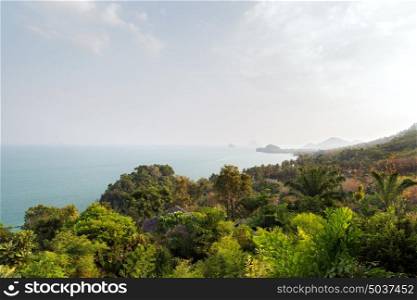nature and flora concept - forest and ocean landscape on sri lanka. forest and ocean landscape on sri lanka