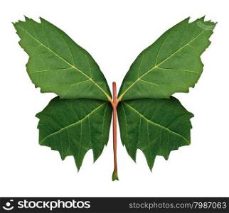 Nature and hope as a symbol of growth and development with a front view green maple leaf shaped as the open wings of a butterfly as a metaphor for learning discovery and imagination isolated on a white background.