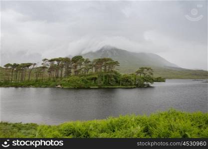 nature and landscape concept - view to to island in lake or river in ireland valley. view to island in lake or river at ireland