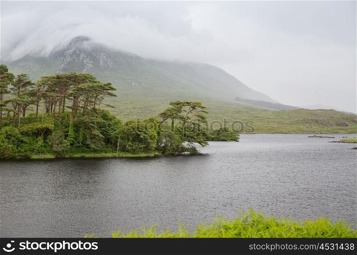 nature and landscape concept - view to to island in lake or river in ireland valley. view to island in lake or river at ireland