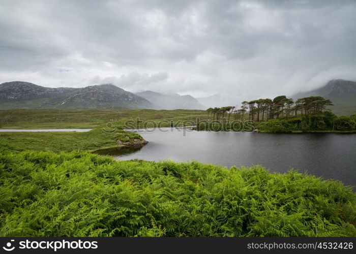 nature and landscape concept - view to to island in lake or river in ireland valley. view to island in lake or river at ireland