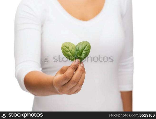 nature and plant concept - closeup of woman hand with green sprout