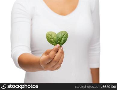 nature and plant concept - closeup of woman hand with green sprout