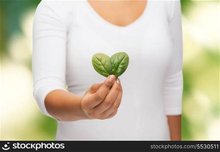 nature and plant concept - closeup of woman hand with green sprout