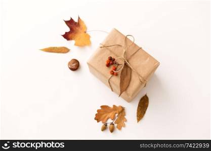 nature and season concept - gift box packed into postal wrapping paper, autumn leaves, chestnuts, acorns and rowanberries on white background. gift box, autumn leaves, acorns and rowanberry