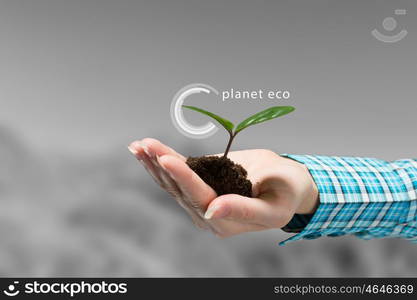 Nature and technology interaction. Close view of woman holding green sprout in palms