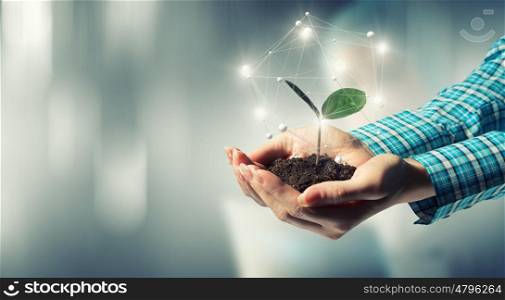 Nature and technology interaction. Close view of woman holding green sprout in palms