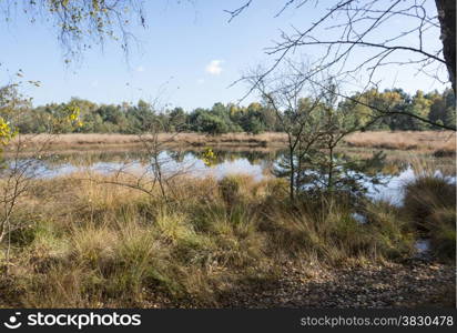 nature area gilderhauser venn in germany