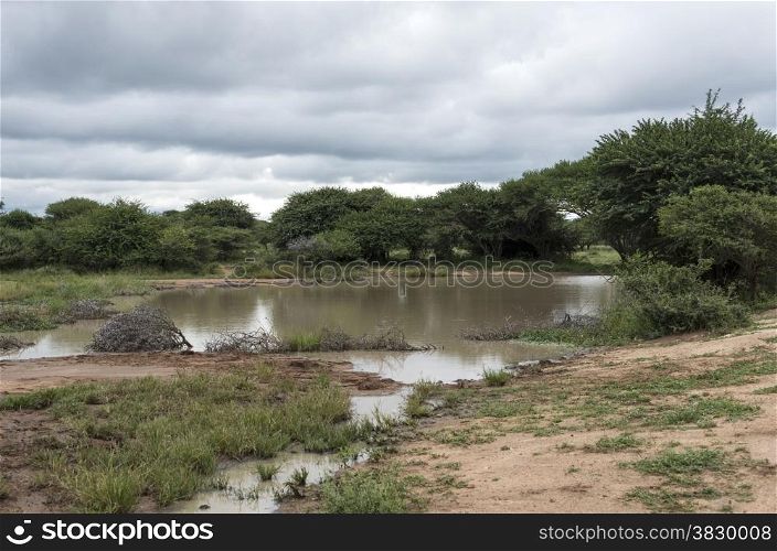 nature area with water in reserve south africa