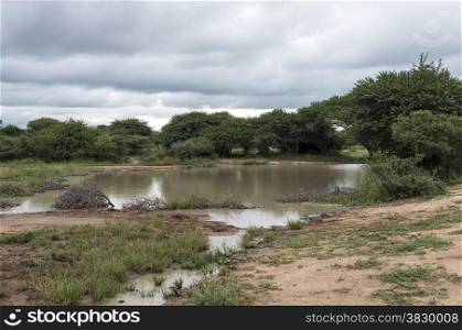 nature area with water in reserve south africa