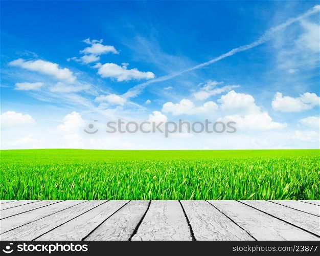 Nature background. Green field with wood floor.