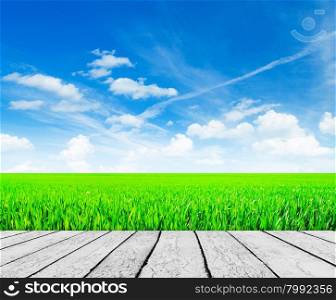 Nature background. Green field with wood floor.