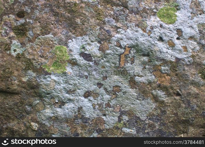 Nature background texture of colored Lichen on stone