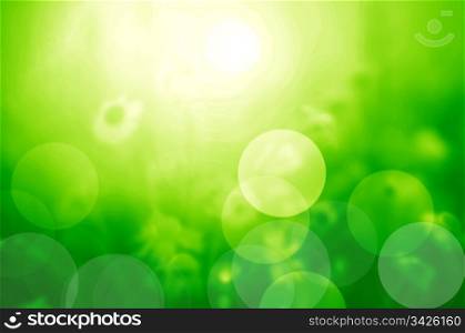Nature blur background. Spring / summer sunny day