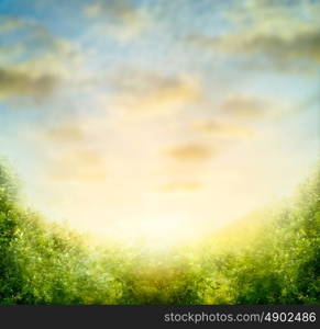 Nature blurred background with sky and green bushes leaves