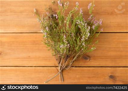nature, botany and plants concept - heather bush on wooden table. heather bush on wooden table