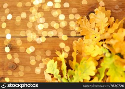 nature, botany and plants concept - oak leaves in autumn colors on wooden table. oak leaves in autumn colors on wooden table