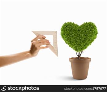 Nature care. Image of plant shaped like heart. Environment concept