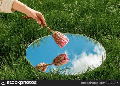 nature concept - hand with artichoke flower and sky reflection in round mirror on summer field. hand with flower and sky reflection in mirror