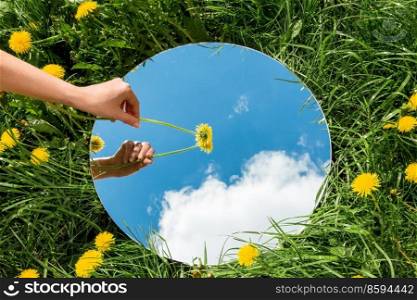 nature concept - hand with dandelion touching sky reflection in round mirror on summer field. hand with dandelion and sky reflection in mirror