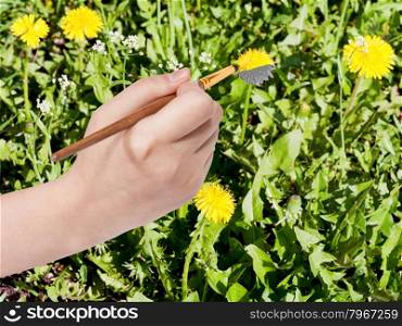 nature concept - hand with paintbrush paints yellow dandelion flower on green meadow