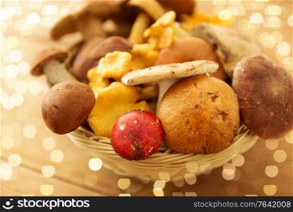 nature, environment and harvest concept - basket of different edible mushrooms on wooden table. basket of different edible mushrooms on wood