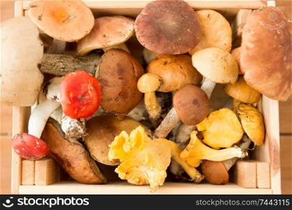 nature, environment and harvest concept - wooden box of different edible mushrooms. wooden box of different edible mushrooms