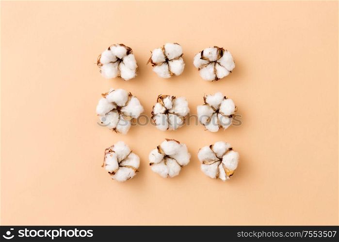 nature, flora and herbal concept - cotton flowers on beige background. cotton flowers on beige background