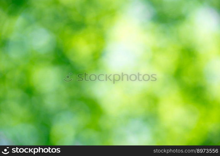 Nature green abstract bokeh background