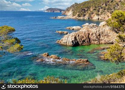 Nature in all its splendor  an experience for the senses. Costa Brava, near small town Palamos, Spain
