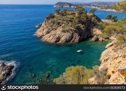Nature in all its splendor  an experience for the senses. Costa Brava, near small town Palamos, Spain