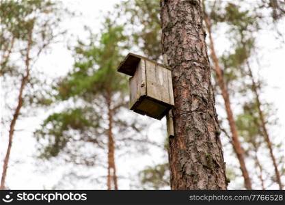 nature, landscape and environment concept - wooden birdhouse on pine tree in coniferous forest. wooden birdhouse on pine tree in coniferous forest