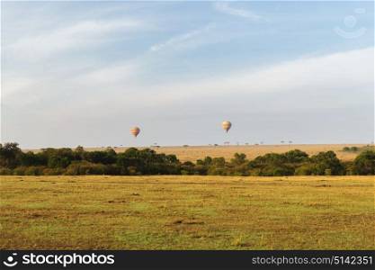 nature, landscape and wildlife concept - view to air balloons flying above maasai mara national reserve savanna at africa. maasai mara national reserve savanna at africa