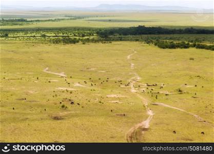 nature, landscape and wildlife concept - view to maasai mara national reserve savanna at africa. maasai mara national reserve savanna at africa