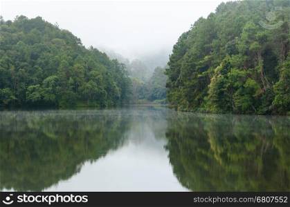 Nature landscape at dawn of lakes and pine forests in Pang Ung national park of Mae Hong Son province, Thailand