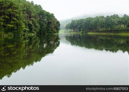 Nature landscape at dawn of lakes and pine forests in Pang Ung national park of Mae Hong Son province, Thailand