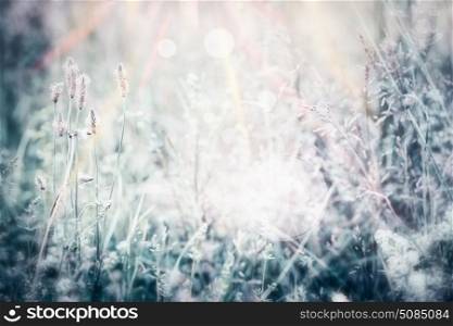 Nature landscape background with wild flowers and grass
