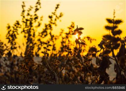 Nature landscape. Beautiful sunset or sunrise over summer field meadow with yellow red sky,. Beautiful sunset over field