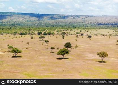 nature, landscape, environment and wildlife concept - acacia trees in maasai mara national reserve savannah at africa. view to maasai mara savannah landscape in africa