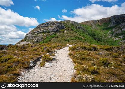 Nature landscape in Cradle mountain national park in Tasmania, Australia.
