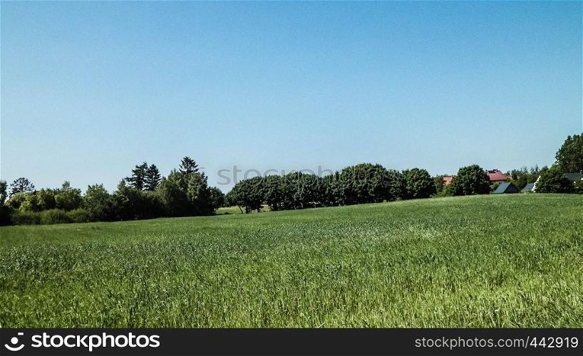 Nature landscape of green field in Kashubian village. Nature and agriculture concept.. Green field in Kashubian village.