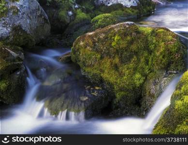 Nature landscape of mountain stream