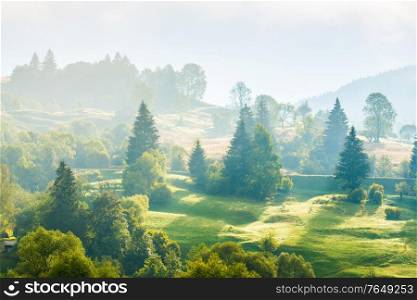 Nature landscape of pasture country hills with fog mist on green trees