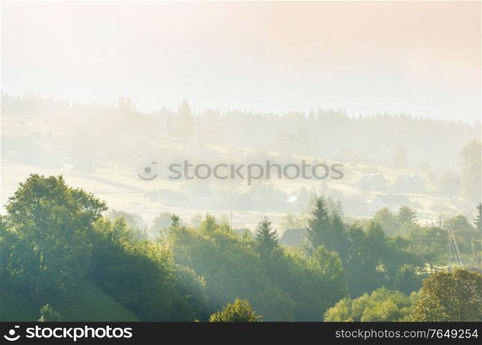 Nature landscape of pasture country hills with fog mist on green trees