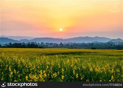 nature landscape of sunset over the land field