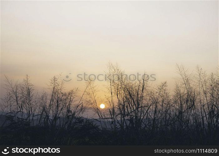 nature landscape of sunset over the land field
