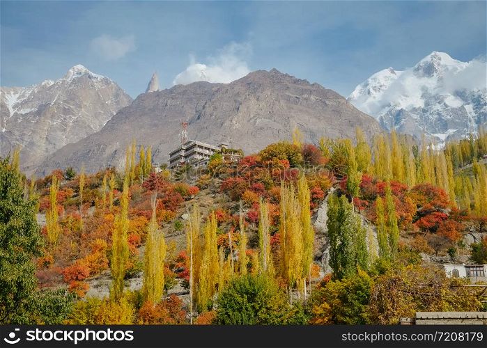 Nature landscape view of colorful foliage forest trees in autumn season and snow capped Ultar Sar mountain peak in Karakoram range in the background. Hunza valley Gilgit Baltistan, Pakistan.