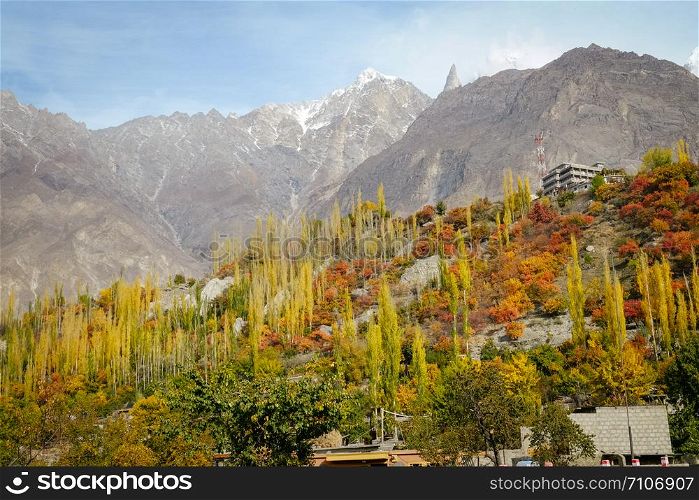 Nature landscape view of colorful forest trees in Hunza valley against Karakoram mountain range and blue sky. Gilgit Baltistan, northern Pakistan.
