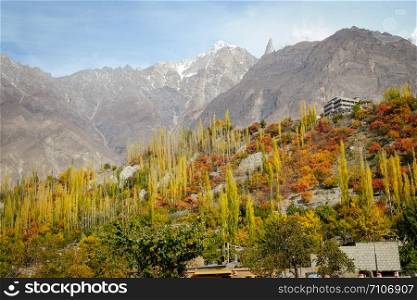 Nature landscape view of colorful forest trees in Hunza valley against Karakoram mountain range and blue sky. Gilgit Baltistan, northern Pakistan.